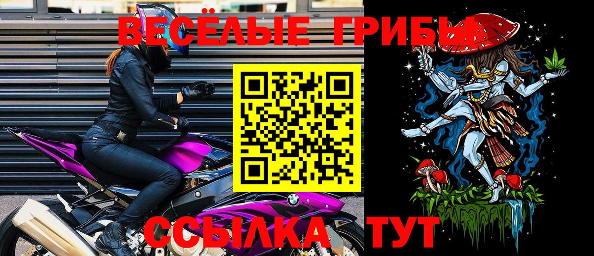 Псилоцибиновые грибы мицелий  Галлюциногенные грибы Psilocybine cubensis  Вход с VPN  Калуга 
