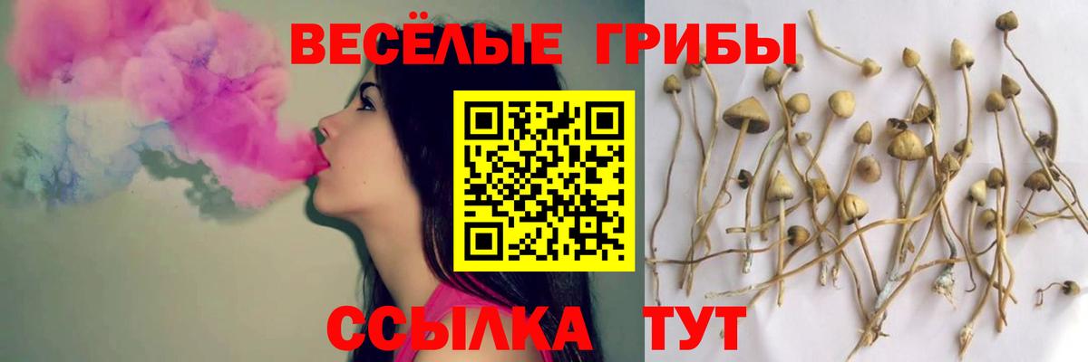 Галлюциногенные грибы Cubensis Калуга